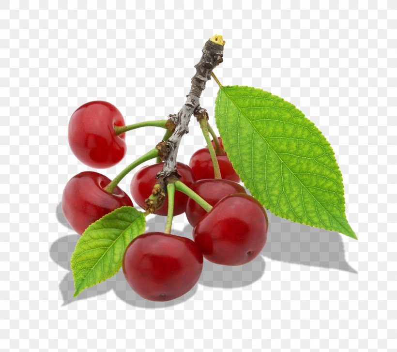 Family Tree Background, PNG, 1280x1136px, Cherries, Acerola, Acerola Family, Animation, Berry Download Free