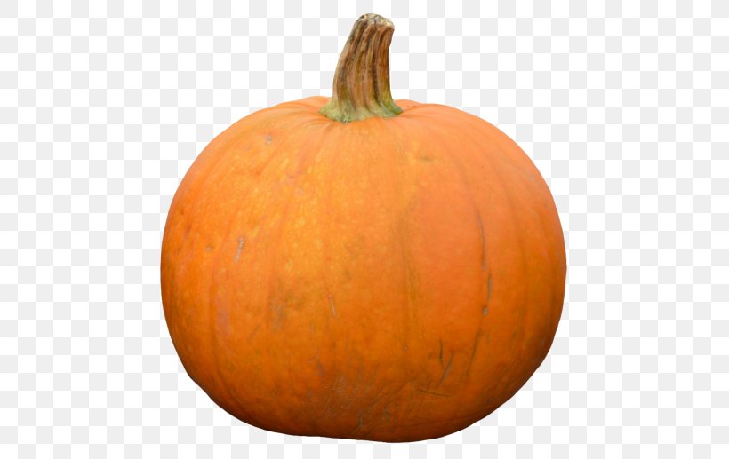 Jack-o'-lantern Pumpkin Gourd Calabaza Cucurbita, PNG, 500x517px, Pumpkin, Calabaza, Carving, Commodity, Cucumber Gourd And Melon Family Download Free