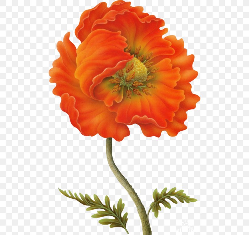 Poppy Watercolour Flowers Clip Art, PNG, 500x771px, Poppy, Annual Plant, Calendula, Common Poppy, Cut Flowers Download Free