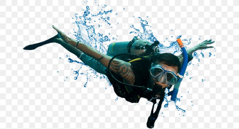Scuba Diving Scuba Set Underwater Diving Recreational Dive Sites Pony Bottle, PNG, 668x442px, Scuba Diving, Adventure, Dive Center, Extreme Sport, Hotel Download Free