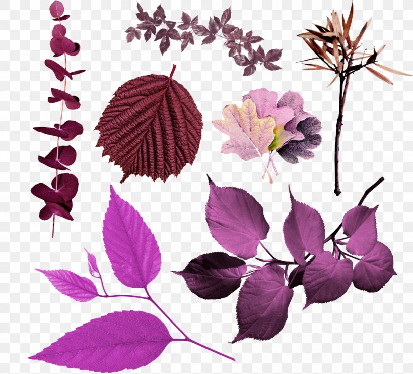 Violet Petal Flower Leaf, PNG, 1045x945px, Violet, Android, Artificial Flower, Branch, Color Download Free