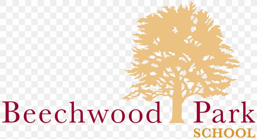 Beechwood Park School Logo Urban Park, PNG, 1199x651px, School, Boarding School, Brand, Business Continuity, Business Continuity Planning Download Free