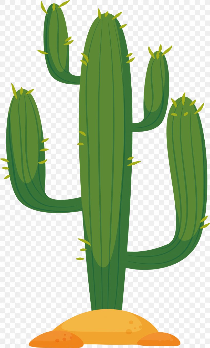 Cactaceae Cactus In The Desert Euclidean Vector, PNG, 1680x2782px ...