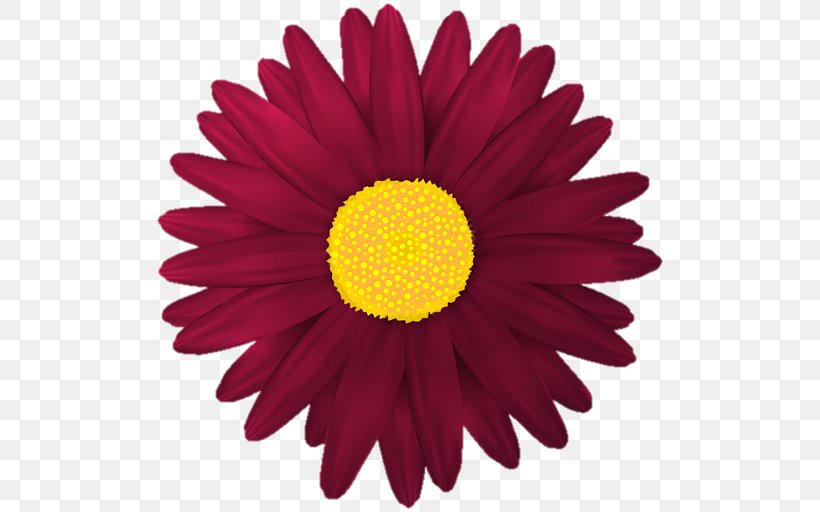 Clip Art Flower Transvaal Daisy Desktop Wallpaper, PNG, 512x512px, Flower, Barberton Daisy, Chamomile, Chrysanthemum, Cut Flowers Download Free
