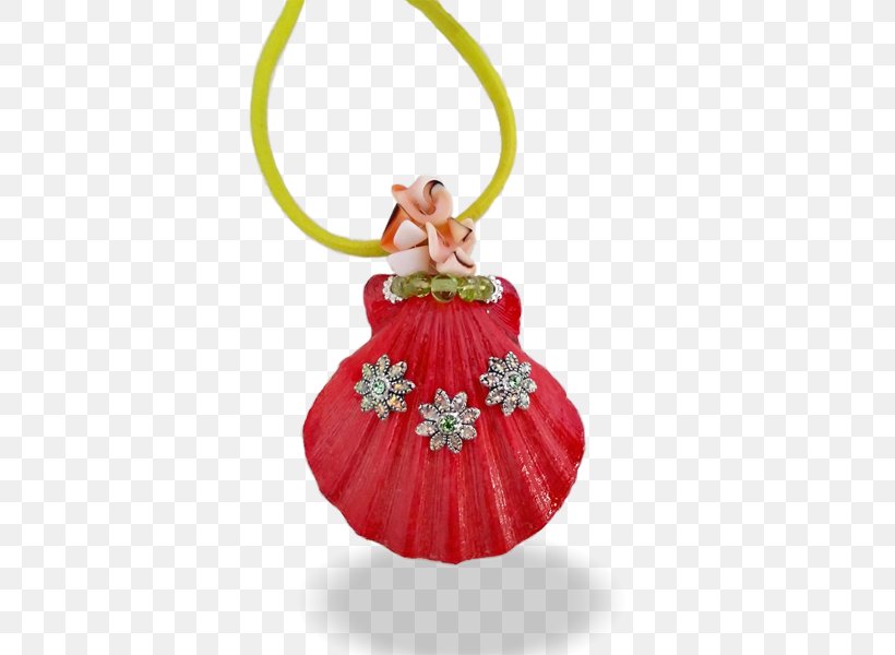 Coral Reef Jewellery Sea Necklace, PNG, 800x600px, Coral Reef, Christmas, Christmas Decoration, Christmas Ornament, Coral Download Free