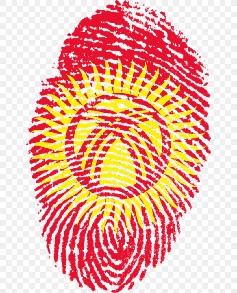 Flag Of The United Arab Emirates Fingerprint Flag Of China, PNG, 640x1013px, United Arab Emirates, Fingerprint, Flag, Flag Of China, Flag Of Germany Download Free