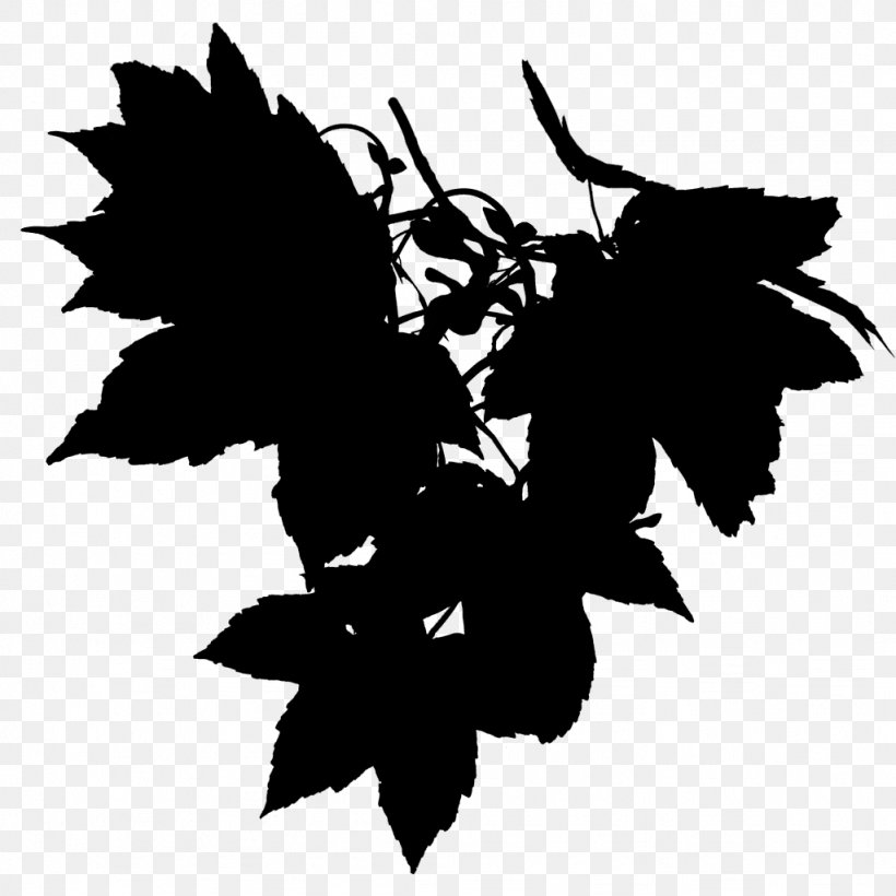 Grapevine Maple Leaf Silhouette Font, PNG, 1024x1024px, Grapevine, Black Maple, Blackandwhite, Botany, Branch Download Free
