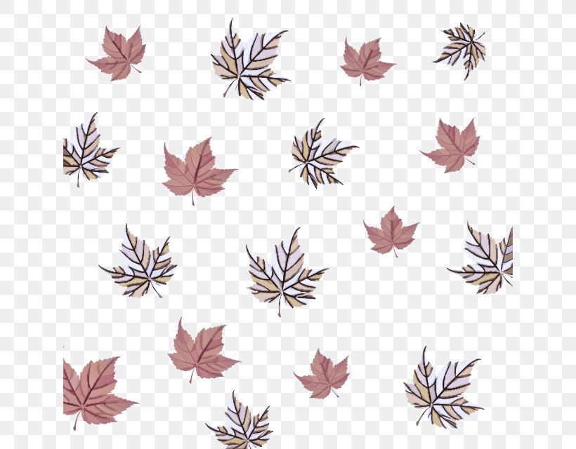 Leaf Plant, PNG, 640x640px, Leaf, Plant Download Free