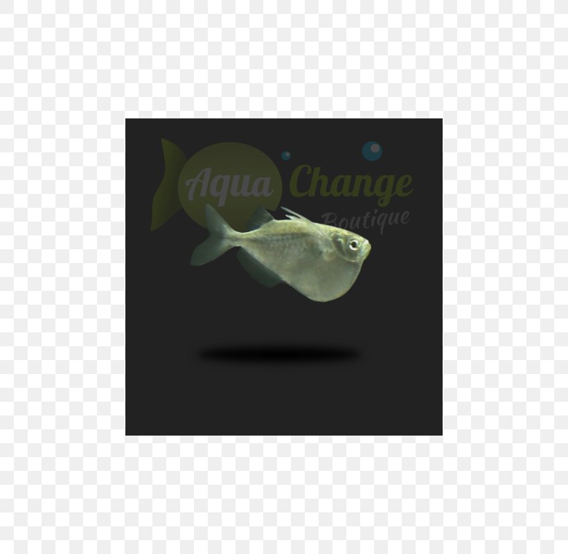 Organism Jaw, PNG, 800x800px, Organism, Jaw Download Free