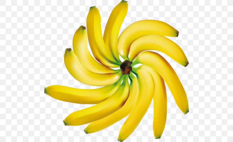 Banana Clip Art Fruit Image, PNG, 510x500px, Banana, Banaani, Banana Family, Banana Leaf, Banana Pepper Download Free