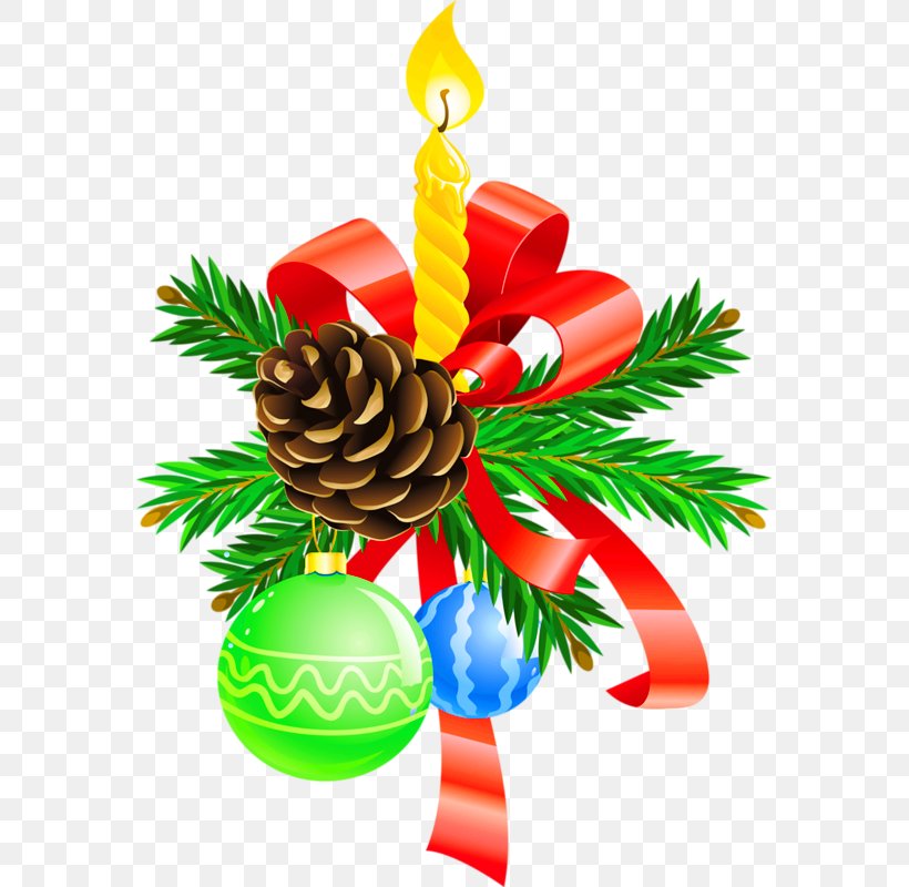 Christmas Ornament Fir Spruce Pine Conifer Cone, PNG, 573x800px, Christmas Ornament, Christmas, Christmas Decoration, Conifer, Conifer Cone Download Free