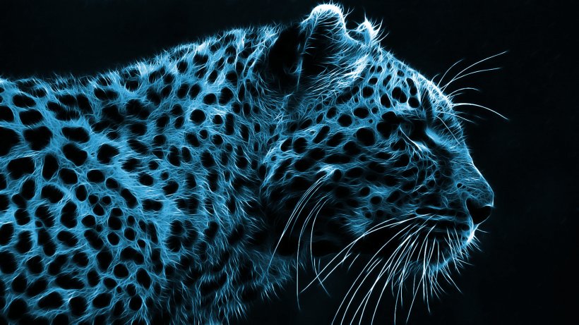 Desktop Wallpaper High-definition Video High-definition Television 1080p Display Resolution, PNG, 1920x1080px, Highdefinition Video, Big Cats, Carnivoran, Cat Like Mammal, Cheetah Download Free