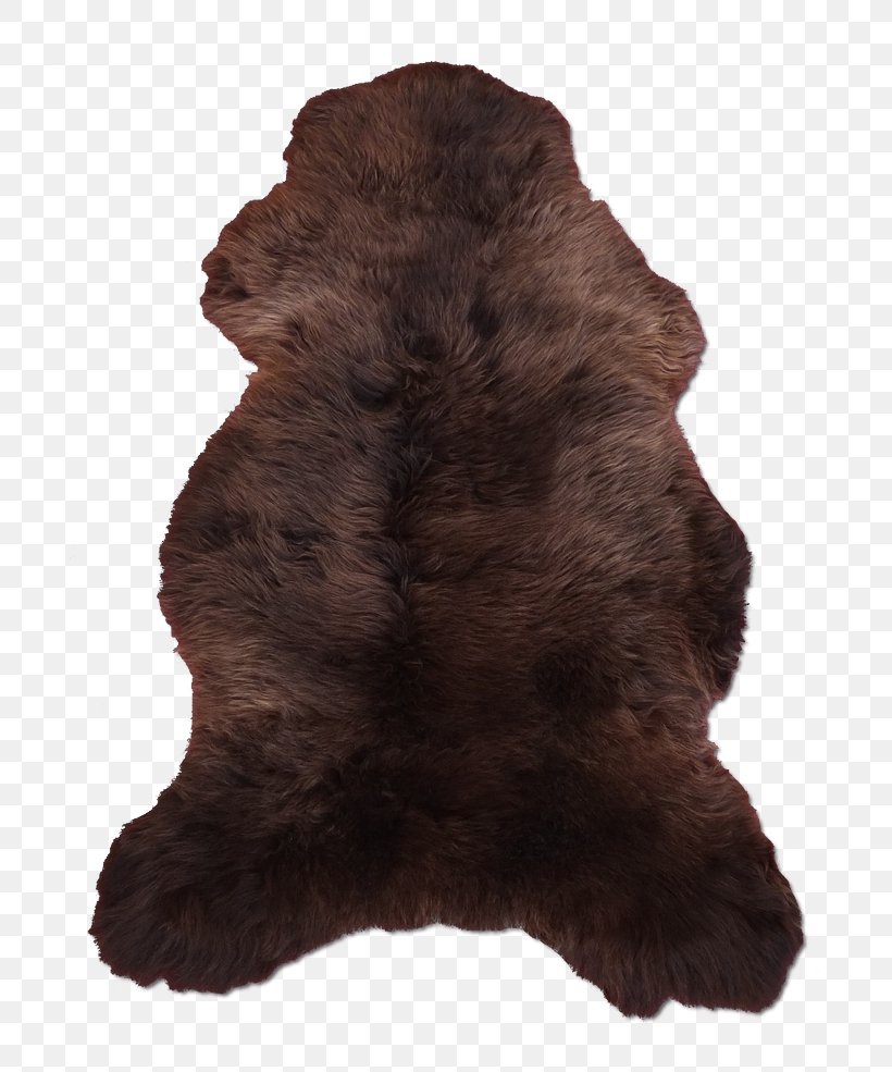 Fur Snout, PNG, 800x985px, Fur, Fur Clothing, Snout Download Free