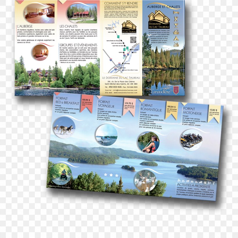 Organism Brochure, PNG, 960x960px, Organism, Advertising, Brochure Download Free