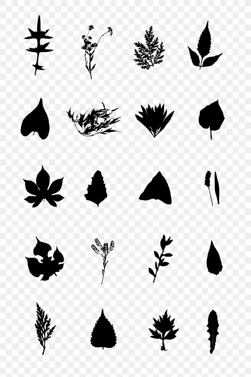 Insect Butterfly Silhouette White Clip Art, PNG, 3600x5400px, Insect, Black And White, Branch, Butterflies And Moths, Butterfly Download Free