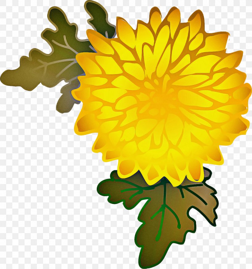 Pot Leaf Cartoon, PNG, 1122x1200px, Chrysanthemum, Common Dandelion, Daisy Family, Dandelion, English Marigold Download Free
