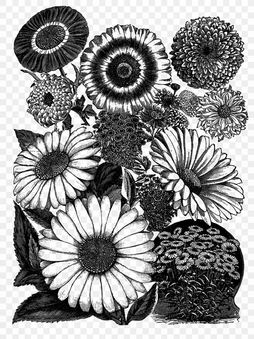 Practical Science For Gardeners Visual Arts Drawing Black And White, PNG, 1198x1600px, Practical Science For Gardeners, Art, Black, Black And White, Chrysanths Download Free