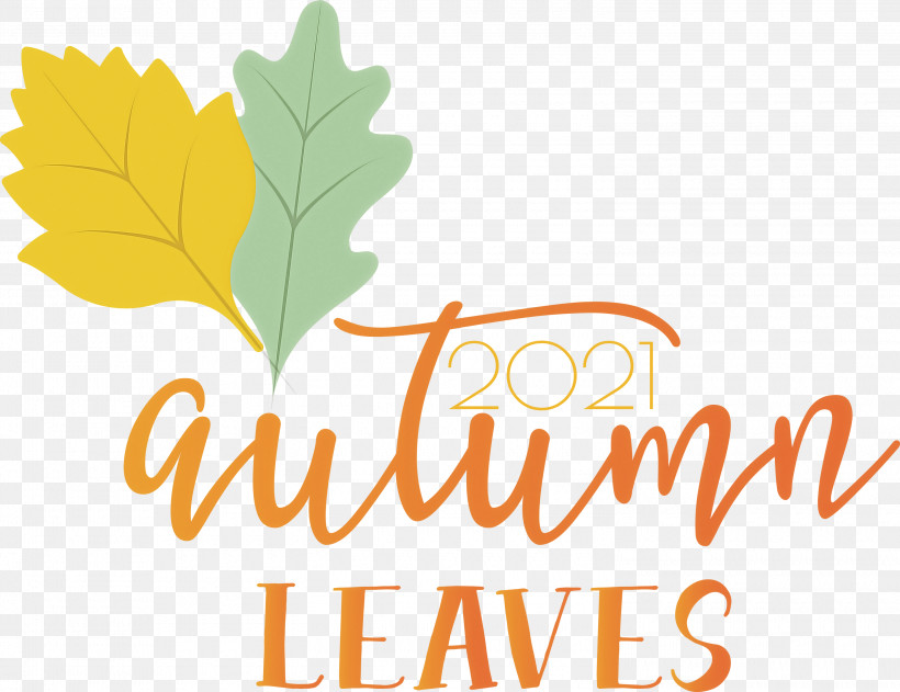 Autumn Leaves Autumn Fall, PNG, 3000x2312px, Autumn Leaves, Autumn, Biology, Fall, Fruit Download Free