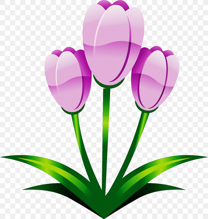 Easter Flower Spring Flower, PNG, 2856x3000px, Easter Flower, Crocus, Cut Flowers, Flower, Grass Download Free