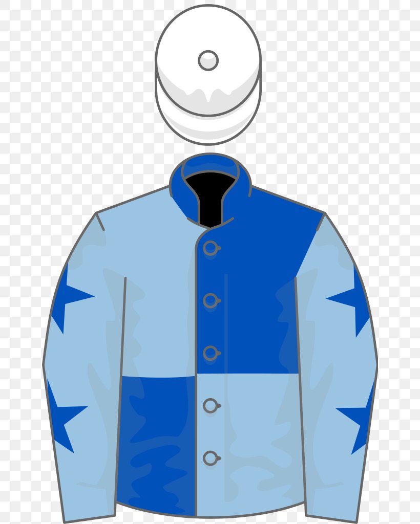 Sandown Park Racecourse Thoroughbred National Stakes Heron Stakes Miss France, PNG, 656x1024px, Sandown Park Racecourse, Blue, Brand, Clothing, Electric Blue Download Free