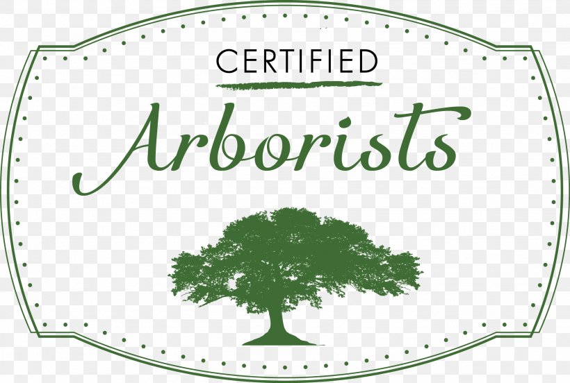 Tree Care Certified Arborist Black Tie Tree Services, PNG, 2259x1521px, Tree, Arborist, Area, Border, Brand Download Free