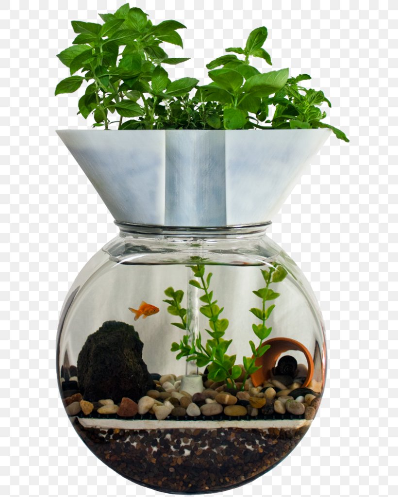 Aquaponics Hydroponics Aquaponic Gardening: A Step-By-Step Guide To Raising Vegetables And Fish Together Aquarium, PNG, 625x1024px, Aquaponics, Agriculture, Aquarium, Aquarium Fish Feed, Ecosystem Download Free