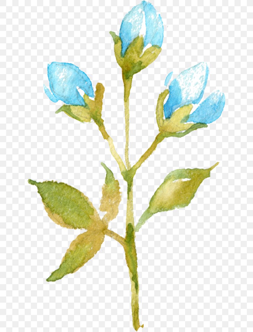Flower Bud Plant Petal, PNG, 642x1075px, Flower, Blue, Blue Flower, Branch, Bud Download Free