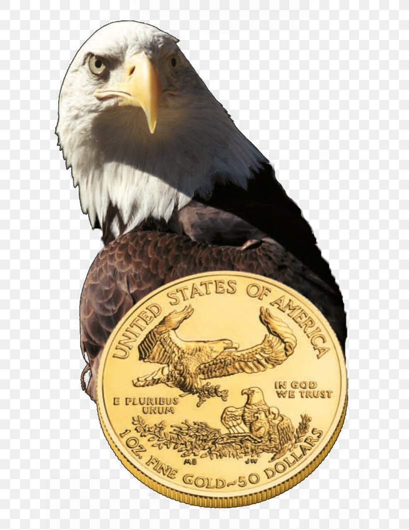 Bald Eagle United States Mint Gold Coin, PNG, 640x1062px, Bald Eagle, Accipitriformes, American Gold Eagle, Beak, Bird Download Free