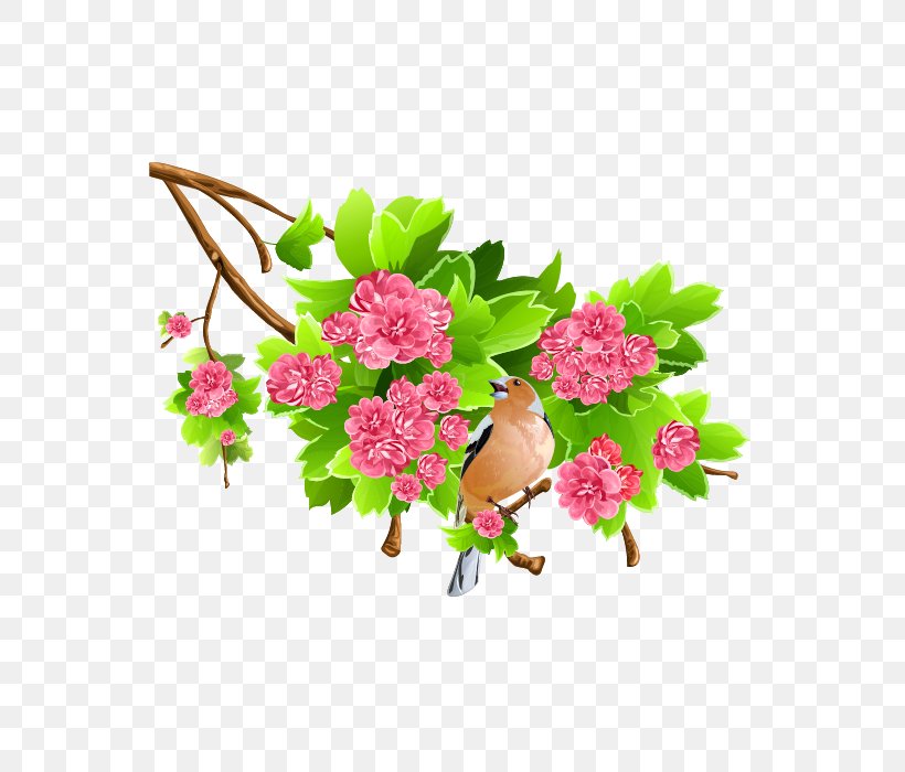 Clip Art, PNG, 700x700px, Branch, Blossom, Cut Flowers, Flora, Floral Design Download Free