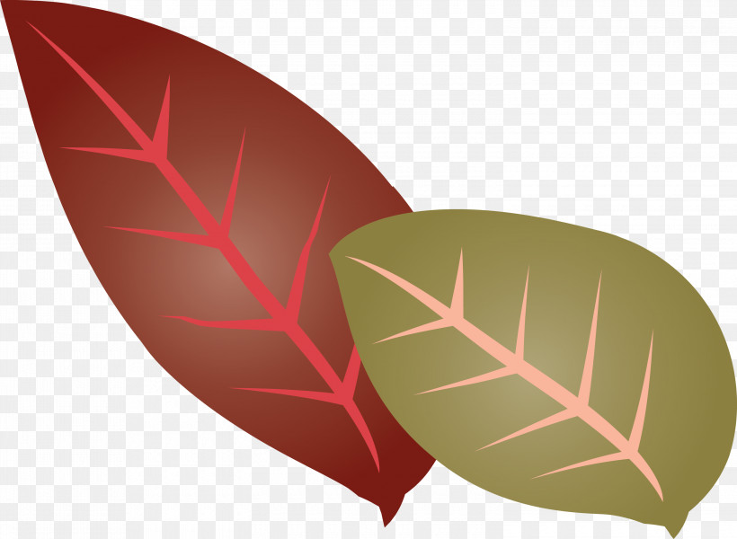Leaf Font Flower Plants Science, PNG, 3000x2197px, Leaf, Biology, Flower, Plant Structure, Plants Download Free