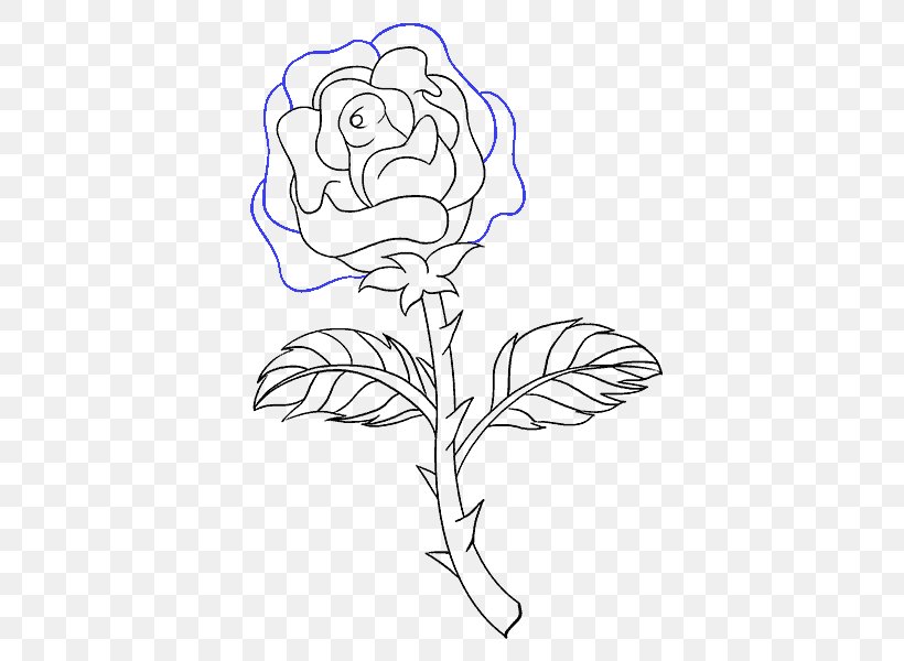 Drawing Plant Stem Rose Image Flower, PNG, 678x600px, Watercolor, Cartoon, Flower, Frame, Heart Download Free