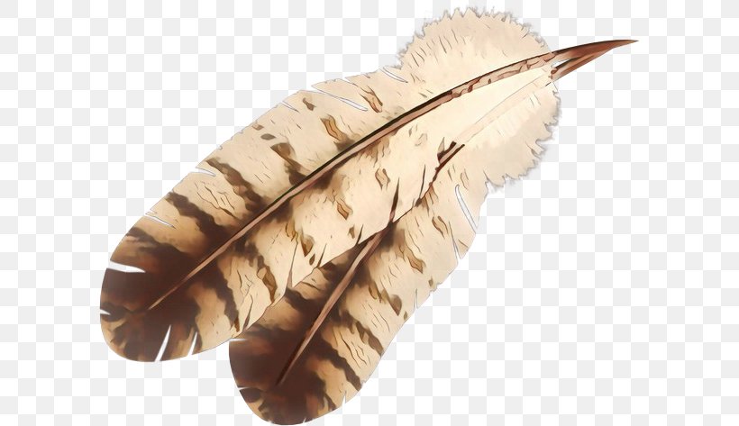 Eagle Cartoon, PNG, 600x473px, Feather, Angel Feathers, Bird, Eagle, Leaf Download Free