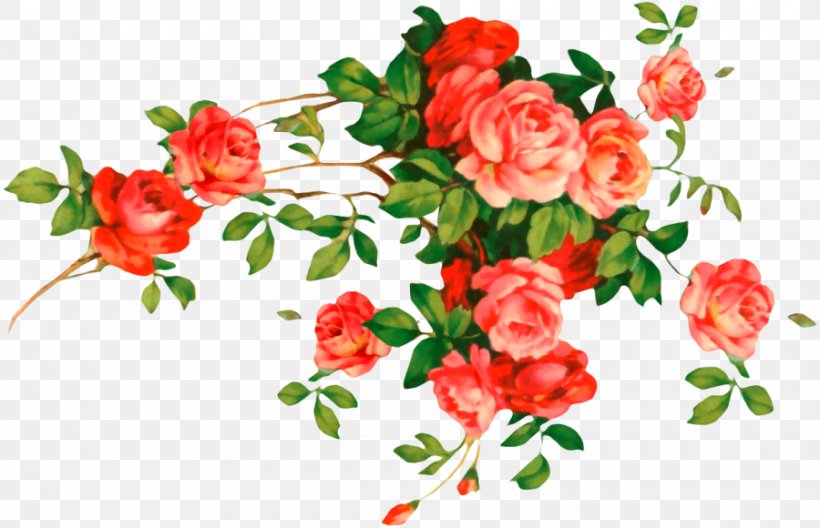 Flower Clip Art, PNG, 900x580px, Flower, Azalea, Branch, Carnation, Cut Flowers Download Free