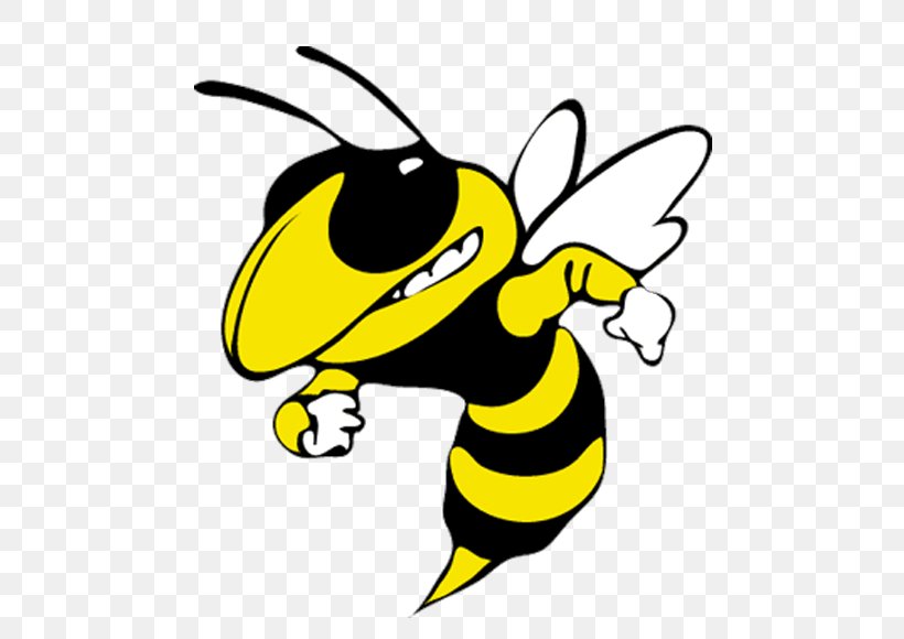 Osbourn Park High School Yellowjacket Georgia Tech Yellow Jackets Ferndale Area School District, PNG, 770x580px, Osbourn Park High School, Art, Artwork, Bee, Black And White Download Free