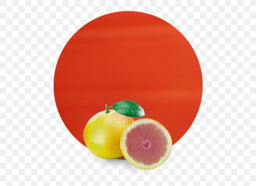 Blood Orange Grapefruit Juice Essential Oil Tangerine, PNG, 536x595px, Blood Orange, Citric Acid, Citrus, Essential Oil, Food Download Free