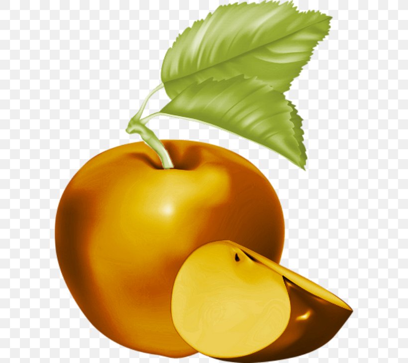 Apple Cider Clip Art, PNG, 600x730px, Apple Cider, Apple, Cider, Cider Apple, Diet Food Download Free
