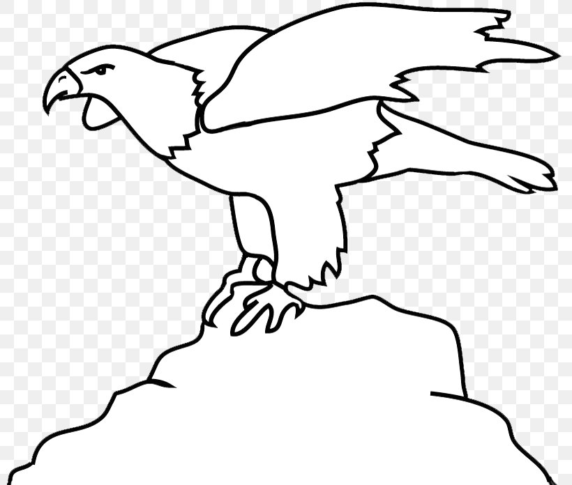 Beak Bald Eagle Bird Clip Art, PNG, 800x696px, Beak, Area, Art, Artwork, Bald Eagle Download Free