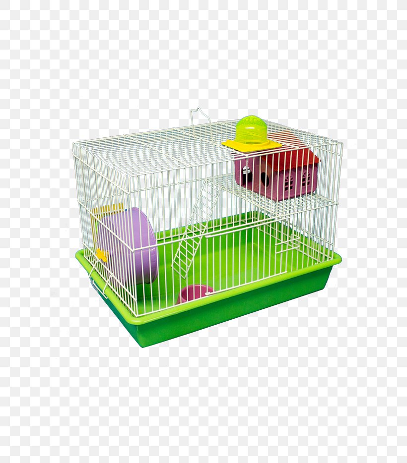 Birdcage Hamster Pet Rodent, PNG, 800x934px, Cage, Birdcage, Brazilian Real, Epoxy, Hamster Download Free
