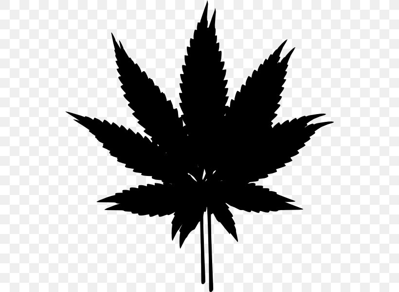 Cannabis Hash, Marihuana & Hemp Museum Clip Art, PNG, 552x599px, Cannabis, Black And White, Drug, Flowering Plant, Hash Marihuana Hemp Museum Download Free
