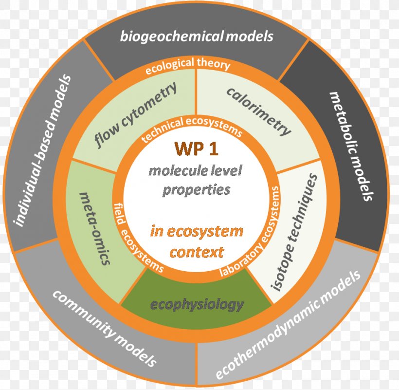 Ecosystem Functioning Ecology Ecosystem Services Natural Environment, PNG, 951x929px, Ecosystem, Area, Brand, Conceptual Model, Diagram Download Free