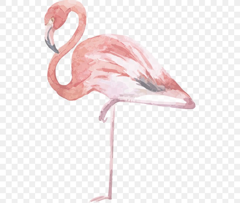 Flamingo Vector Graphics Bird Pink Illustration, PNG, 517x694px, Flamingo, Art, Beak, Bird, Neck Download Free