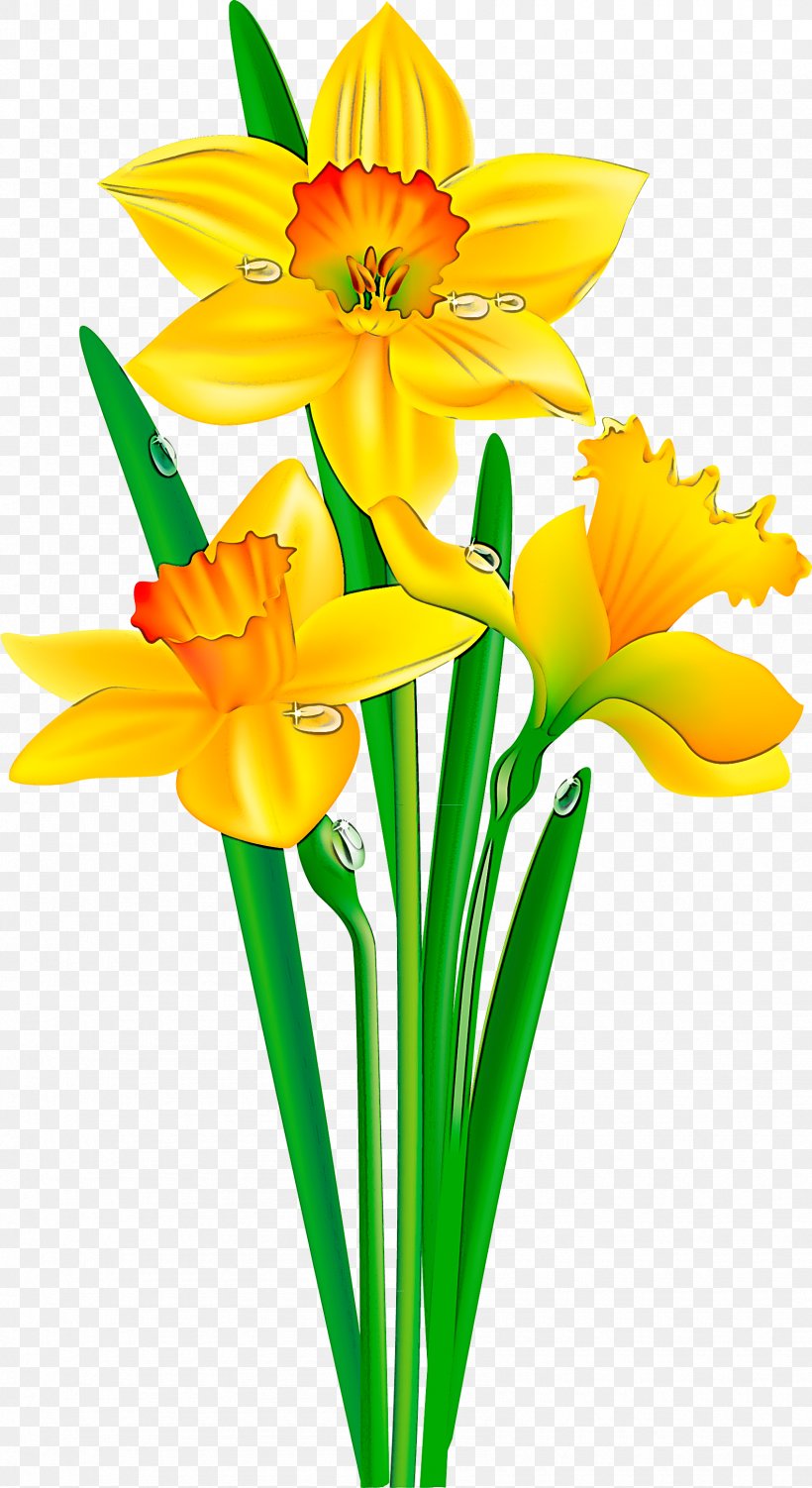 Flower Cut Flowers Yellow Petal Plant, PNG, 1695x3106px, Flower, Cut Flowers, Flowerpot, Narcissus, Petal Download Free