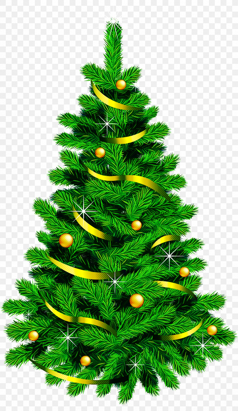 Christmas Tree, PNG, 926x1600px, Christmas Tree, Balsam Fir, Canadian Fir, Christmas Decoration, Colorado Spruce Download Free