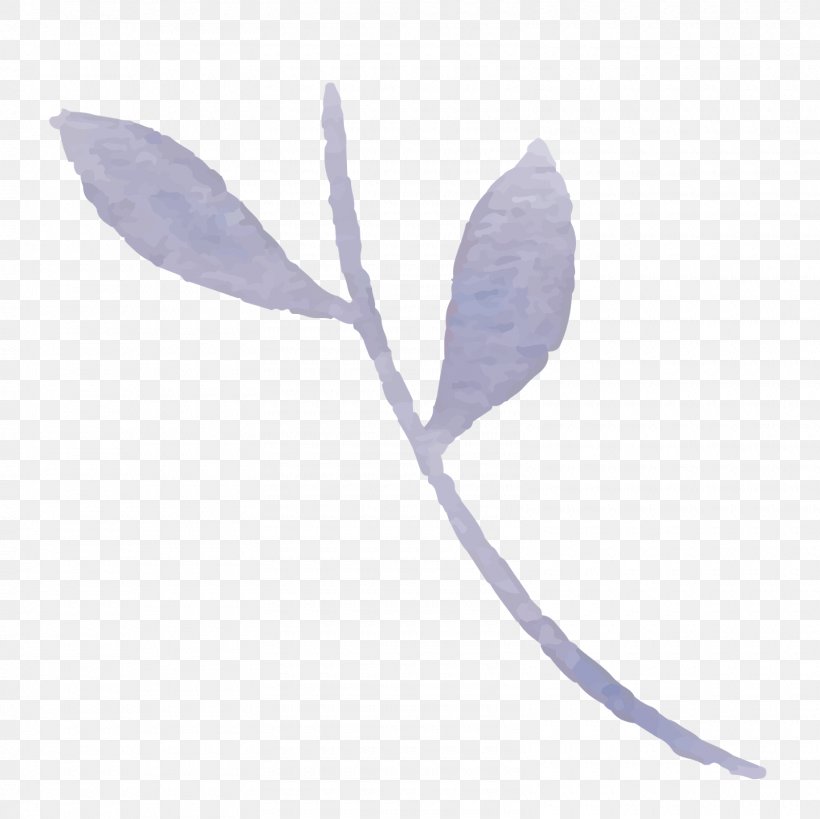 Purple Leaf, PNG, 1600x1599px, Purple, Branch, Leaf, Plant, Twig Download Free