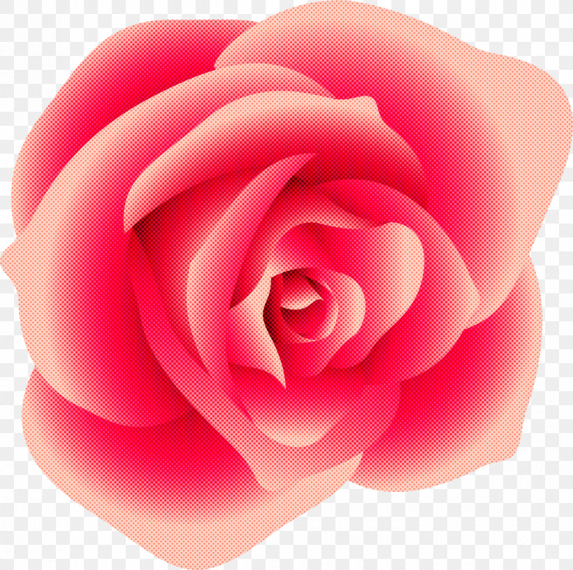 Garden Roses, PNG, 1200x1195px, Garden Roses, Floribunda, Flower, Hybrid Tea Rose, Petal Download Free