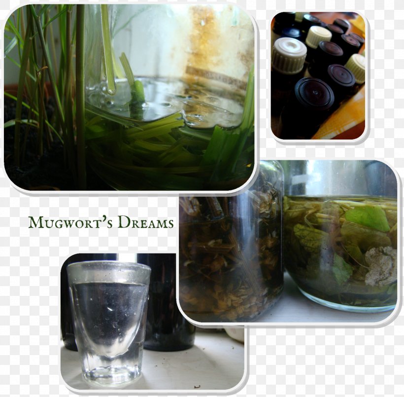 Herbal Tea Tincture Medicinal Plants Herbalism, PNG, 1556x1528px, Herb, Bottle, Catnip, Common Wormwood, Essential Oil Download Free