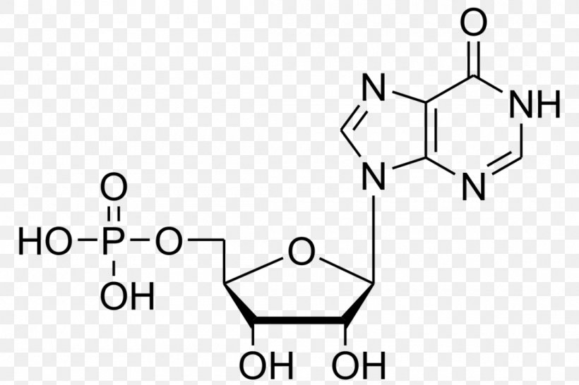 Inosinic Acid Adenosine Monophosphate Deoxyuridine Monophosphate Guanosine Monophosphate, PNG, 1100x733px, Inosinic Acid, Adenosine Monophosphate, Area, Black And White, Brand Download Free
