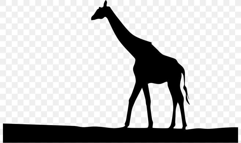 Silhouette West African Giraffe Royalty-free Clip Art, PNG, 800x488px, Silhouette, Black And White, Drawing, Fauna, Giraffe Download Free