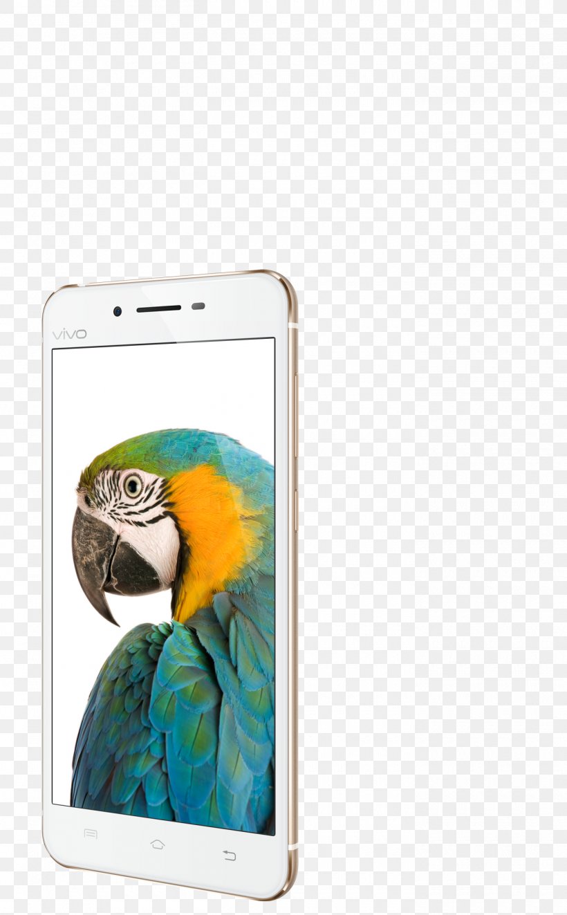 Vivo V9 Smartphone Vivo X7 Nokia X6-00, PNG, 1400x2260px, Vivo V9, Android, Beak, Bird, Communication Device Download Free