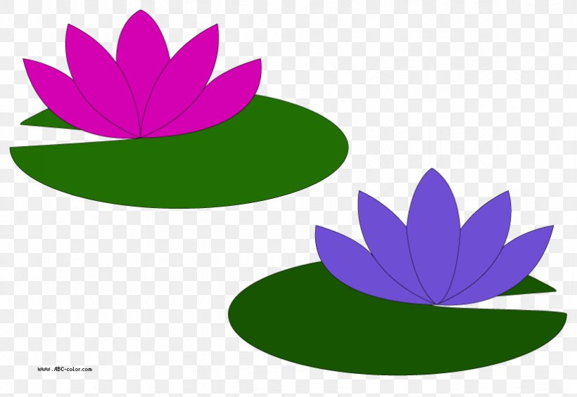 Water Lilies Le Bassin Aux Nymphxe9as Egyptian Lotus Easter Lily Nymphaea Alba, PNG, 822x567px, Water Lilies, Easter Lily, Egyptian Lotus, Flower, Flowering Plant Download Free